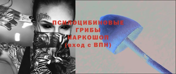 прущий лед Алексин
