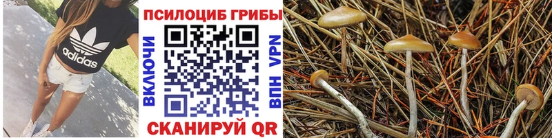 наркотики  Лабытнанги  Галлюциногенные грибы ЛСД 