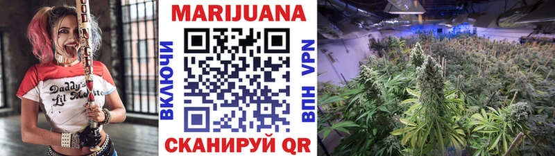 Бошки Шишки планчик  Лабытнанги 